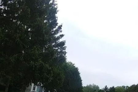 Peaceful Acres