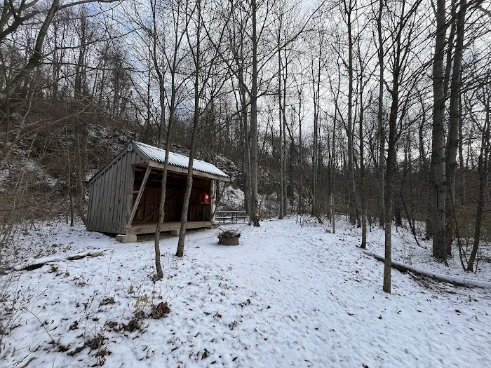 Mines and Meadows Campground 6