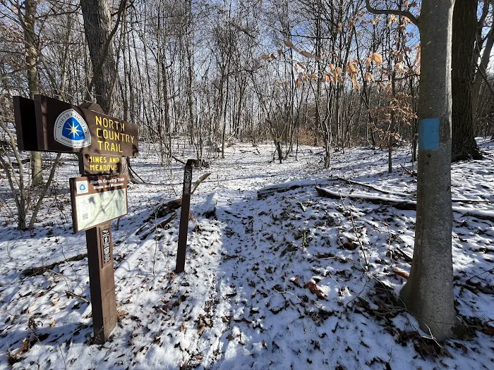 Mines and Meadows Campground 8