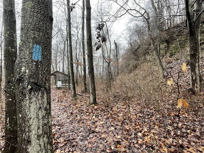 Mines and Meadows Campground 9