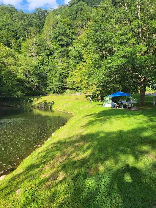 Cranesnest Campground 2