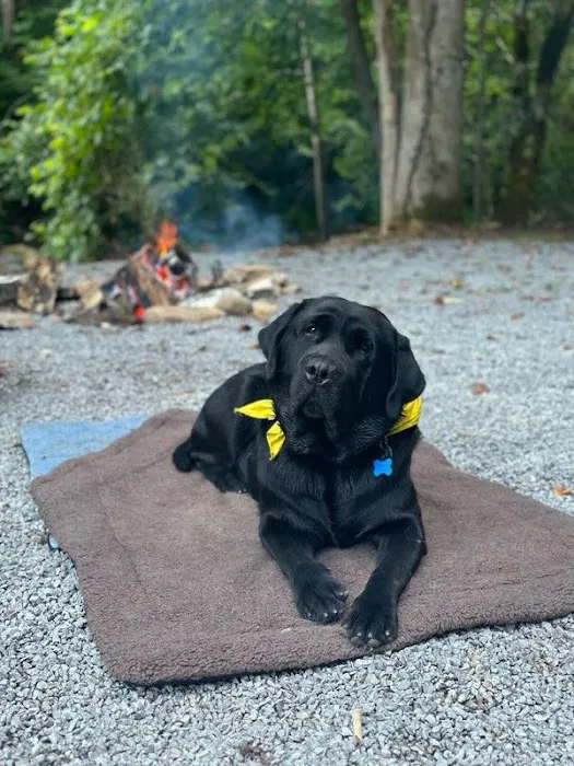 Devils Fork Campground 9