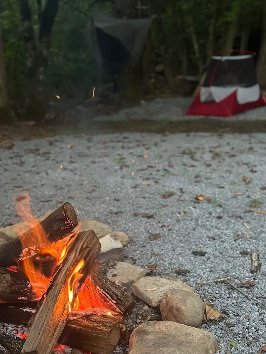 Devils Fork Campground 4