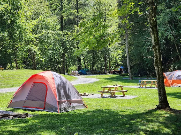 Devils Fork Campground 2