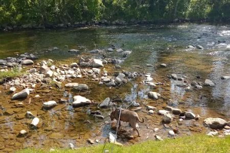 Leeman Field RV Park and Campground