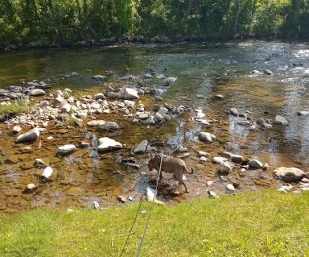 Leeman Field RV Park and Campground