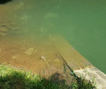 US Forestry Department