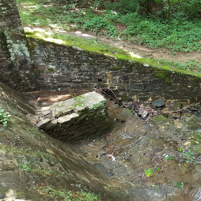US Forestry Department 9