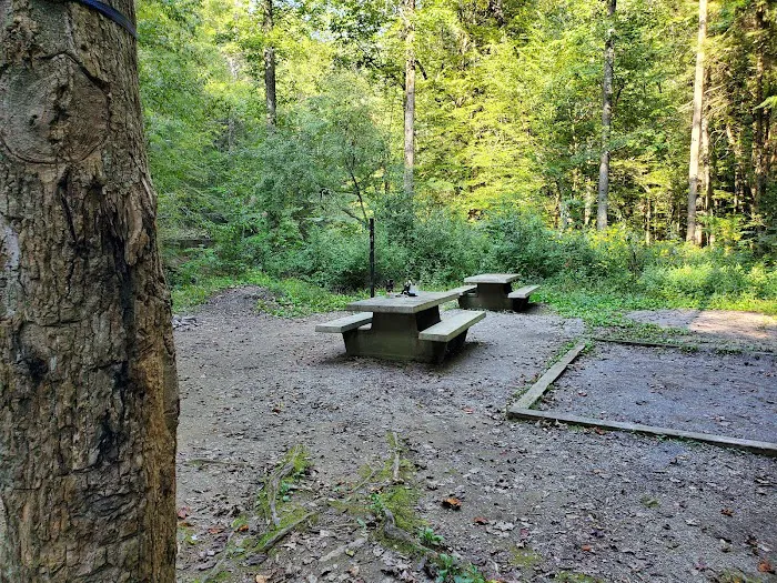 Lost Creek RV Park 8