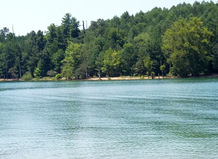 Loyston Point Campground 10