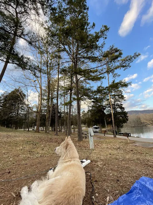 Cove Lake State Park Campground 6