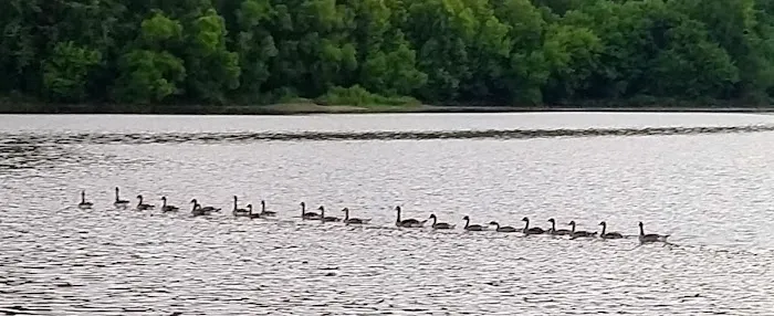Cove Lake State Park Campground 2