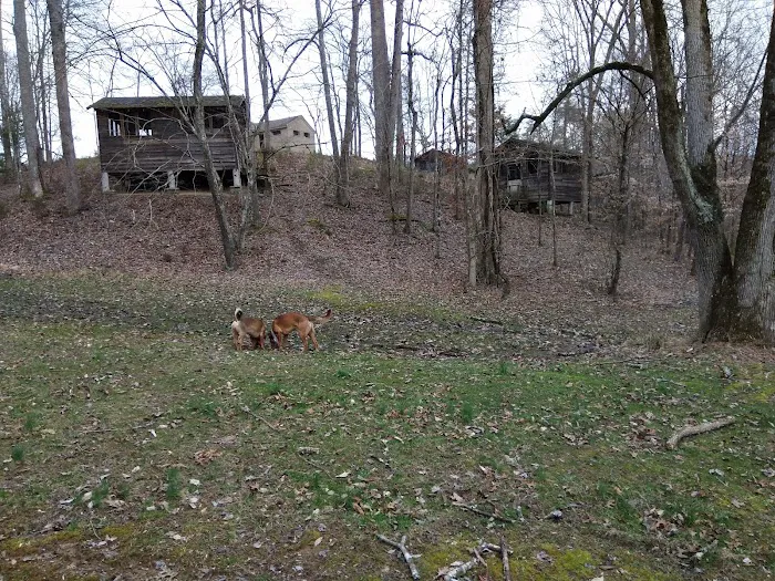 Big Ridge - Group Camp 9