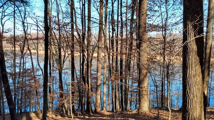 Norris Dam East Campgrounds 3