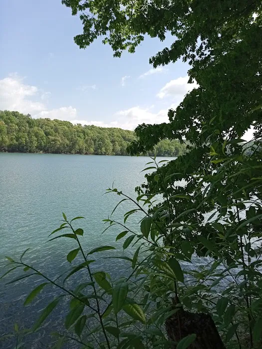 Norris Dam East Campgrounds 7