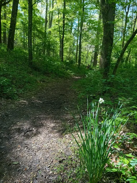 Norris Dam East Campgrounds 9
