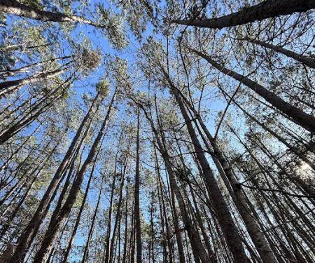 Featheru2019s Hideaway LLC