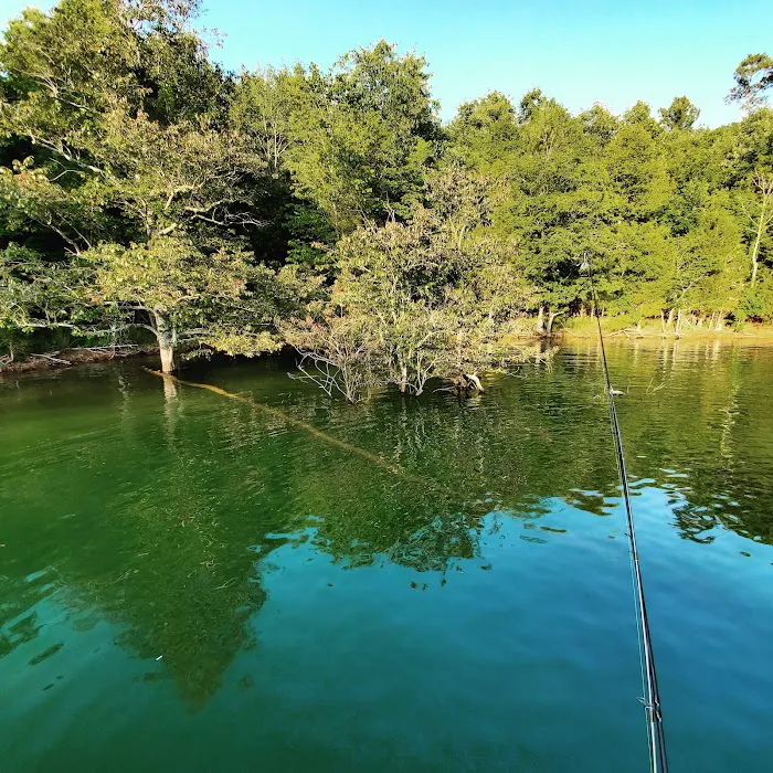 Card'nal Cove Campground and Marina 8
