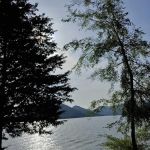 Cherokee Lake Campground
