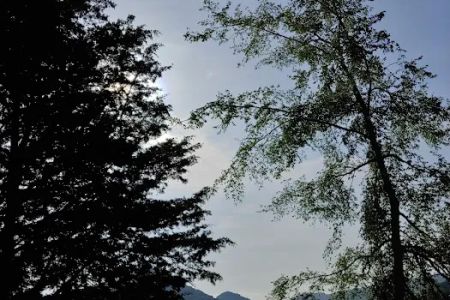 Cherokee Lake Campground