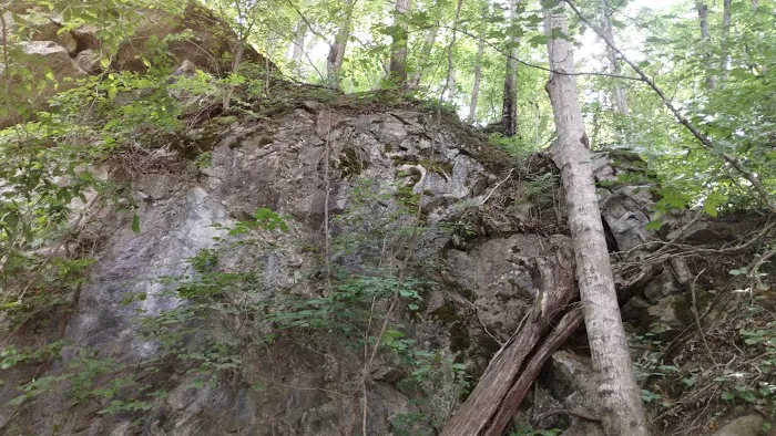 Goat mountain tVA 4