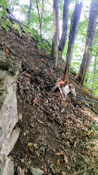 Goat mountain tVA 8