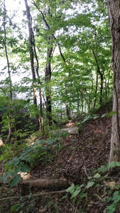 Goat mountain tVA 7