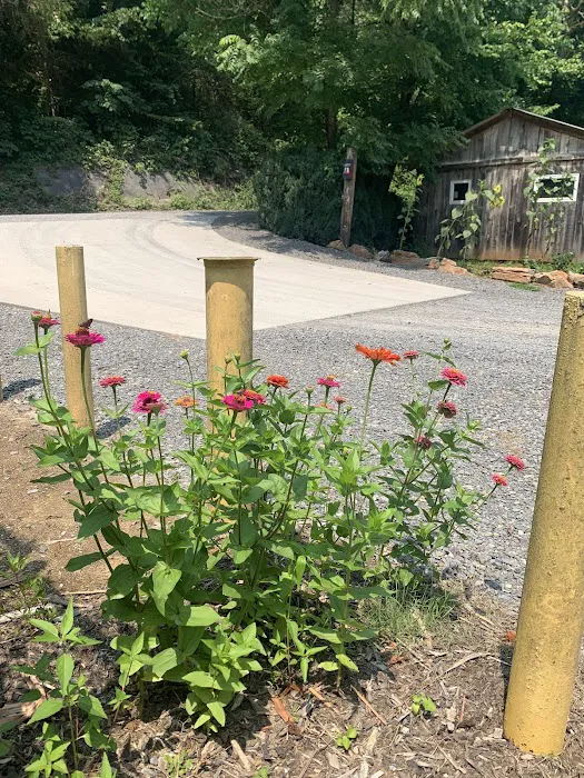 Clinch River Family Campground 3