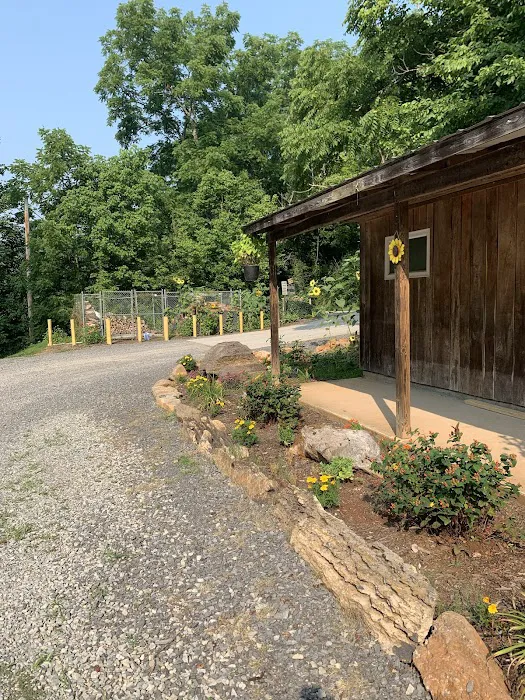 Clinch River Family Campground 9