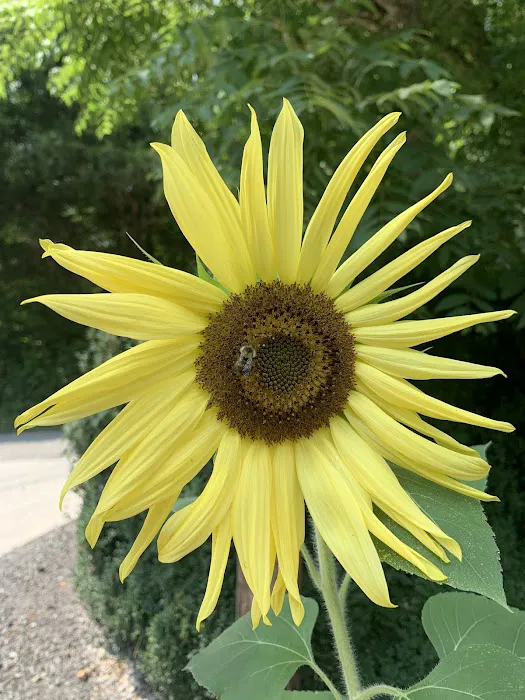 Clinch River Family Campground 5