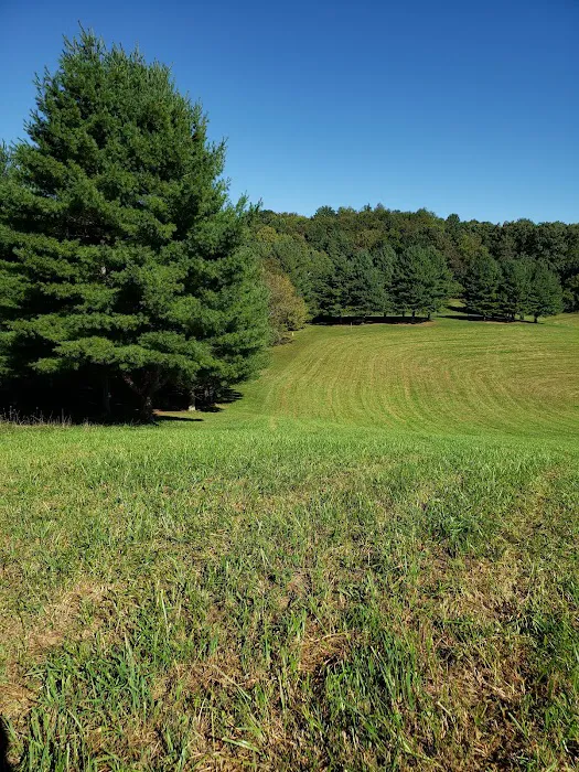 Cove View Campground 7
