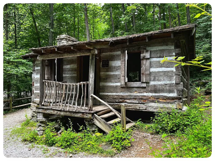 Cove View Campground 1