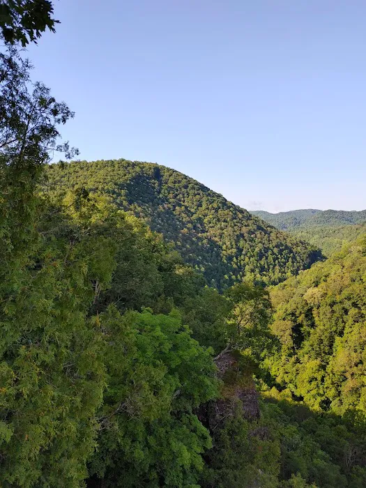Cove View Campground 8