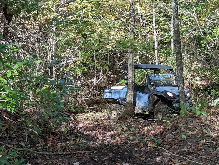 Brimstone Campground 10