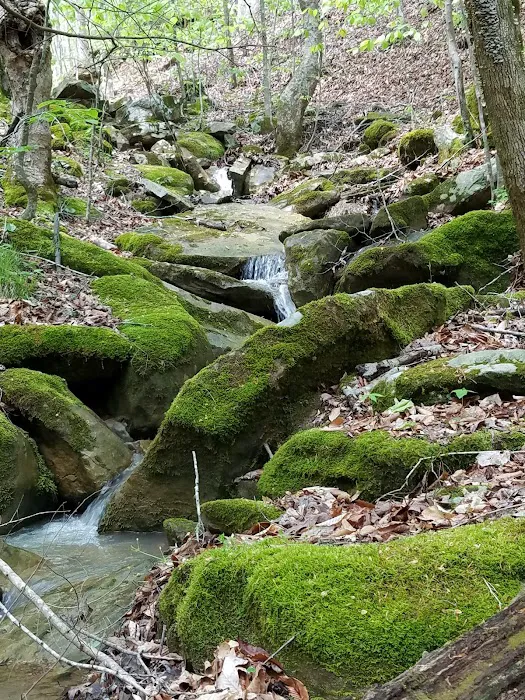 Trails End Campground 9