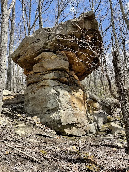 WILDCAT CABIN’S NEAR BRIMSTONE AND TWRA 2