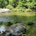 Daddys Creek Campsite