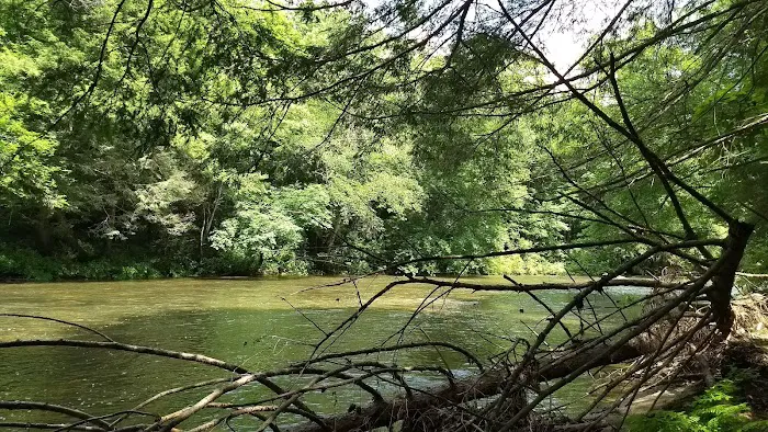 Daddys Creek Campsite 2