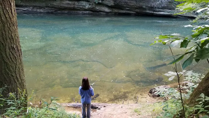 Daddys Creek Campsite 9