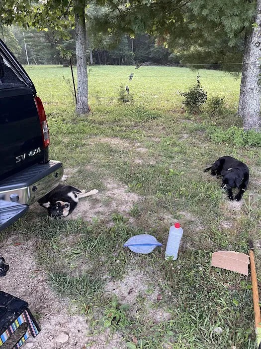 Clear Creek Campground 5