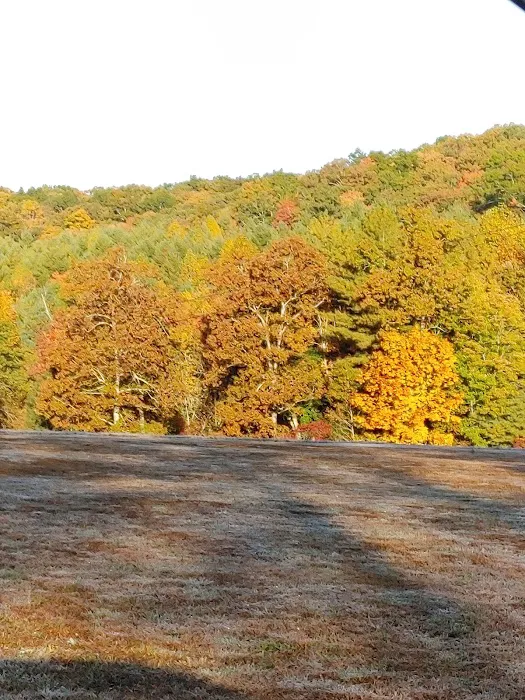 Clear Creek Campground 8