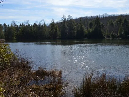 Lake Waldensia 2