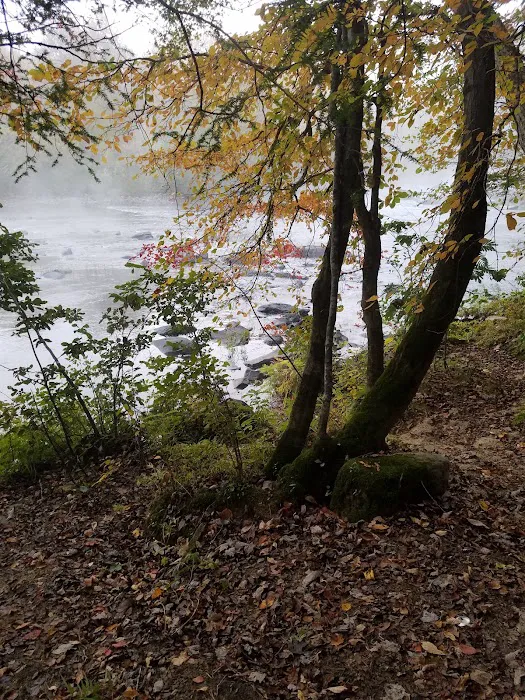Rock Creek Campground 7