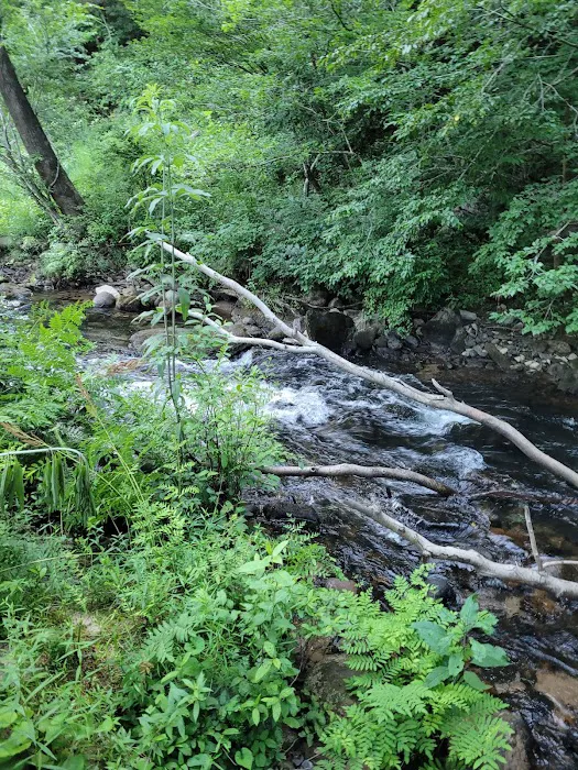 Big Spring Campground 6