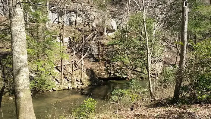 Big Spring Campground 10