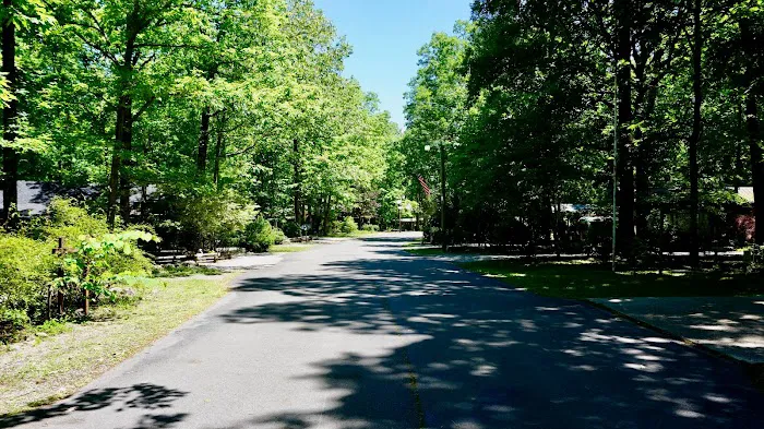 Tennessee Cumberland Plateau Campground 4