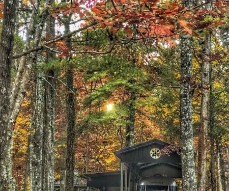 Tennessee Cumberland Plateau Campground