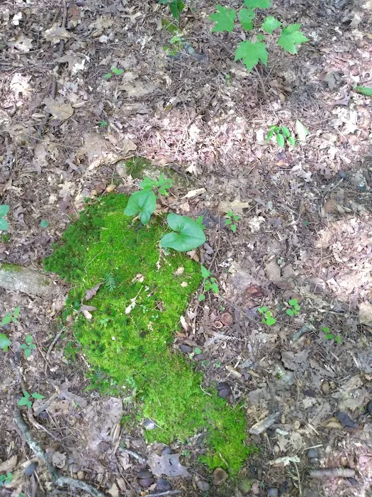Big Cove Campground 10