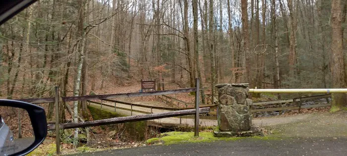 Flat Fork Group Campground 5
