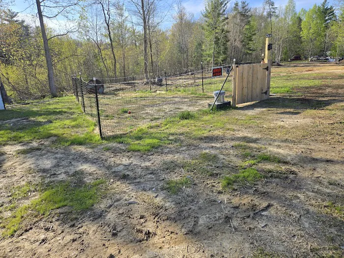 Lone Mountain RV and Campground 10